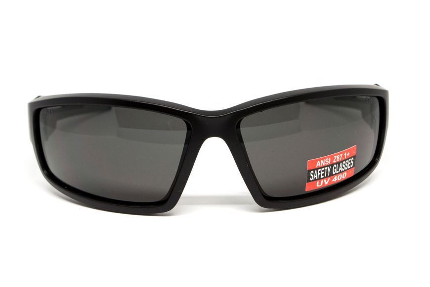 Окуляри захисні Global Vision Sly (gray), сірі GV-SLY-GR фото